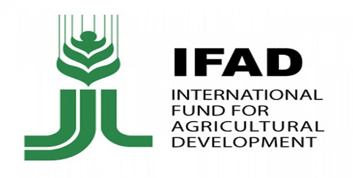 Azerbaijan, IFAD discuss cooperation prospects